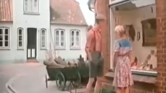 Novemberkatzen 1986