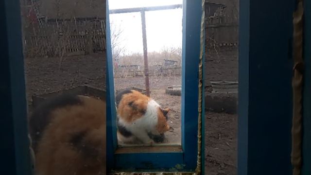 55e0d29918c0451ebf54d08d09146149