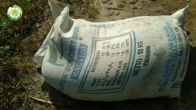 Pentingnya Pupuk Dolomit bagi Sawit!