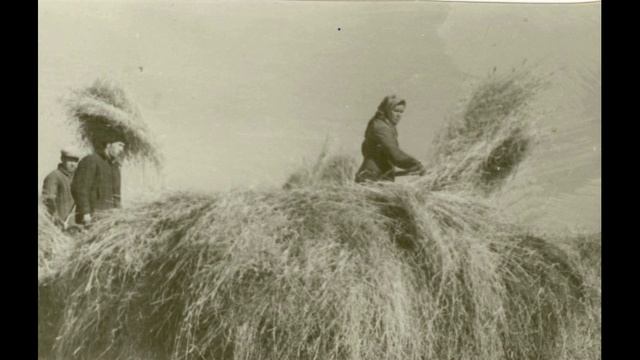 КИВЕ ШЕШКЕЛЬ