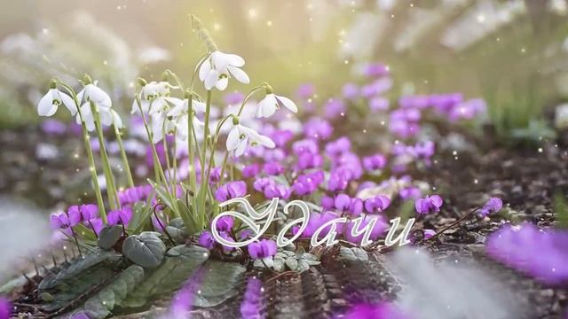 С 8 марта, милые женщины!