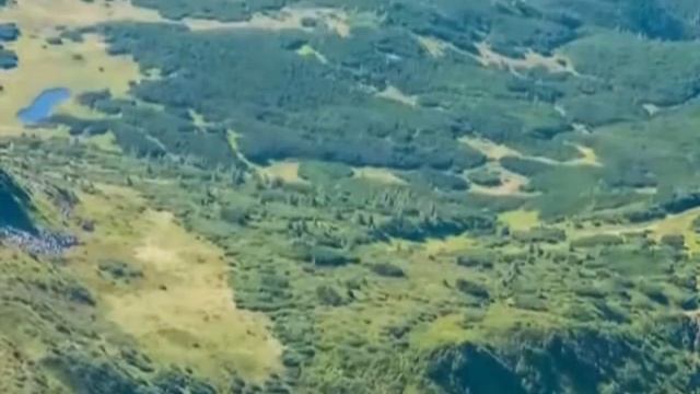 D6e2c85864d3f3c4881edf69164119d5