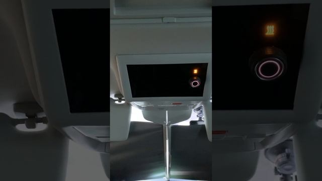 VW T6.1 California | Standheizung Defekt