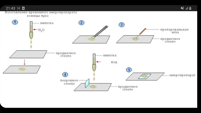 3 часть/6. Лабораторное оборудование