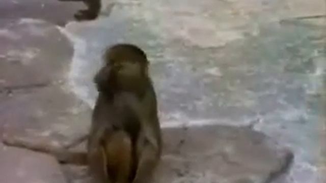 КАЖДАЯ ДЕВУШКА ПРОШЛА ЧЕРЕЗ ЭТО