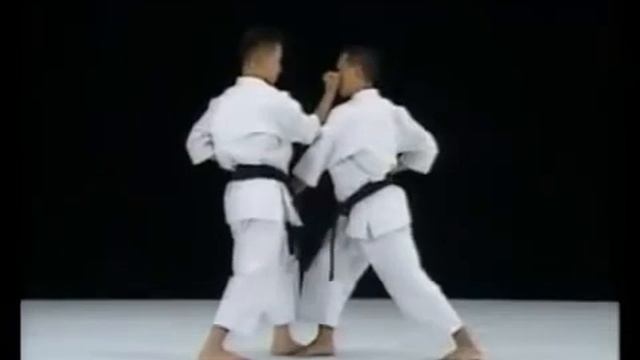 Урок 10  Ката Дзион  Бункай