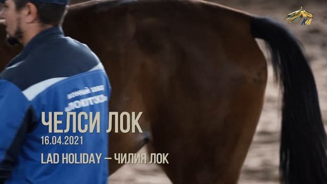 F6a3153dd917673eed4a4cb46fcf8801