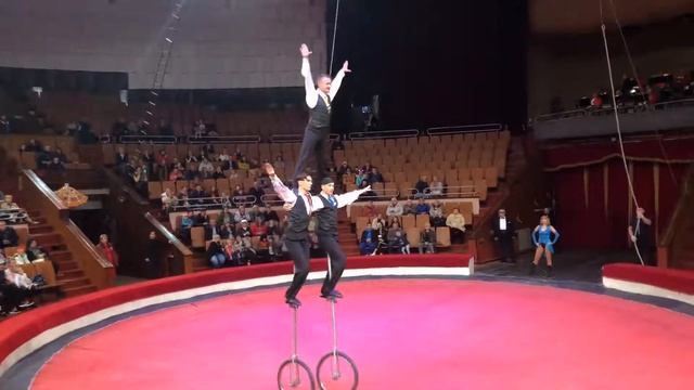 Цирк в Харькове. Выходные с семьёй