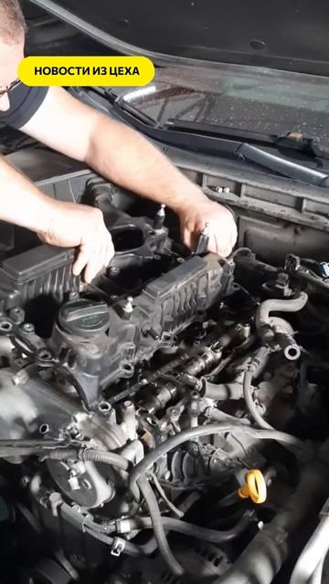 Компания Кореана