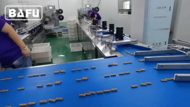 Упаковочная линия с системой ориентации на упаковочные машины FWC-350