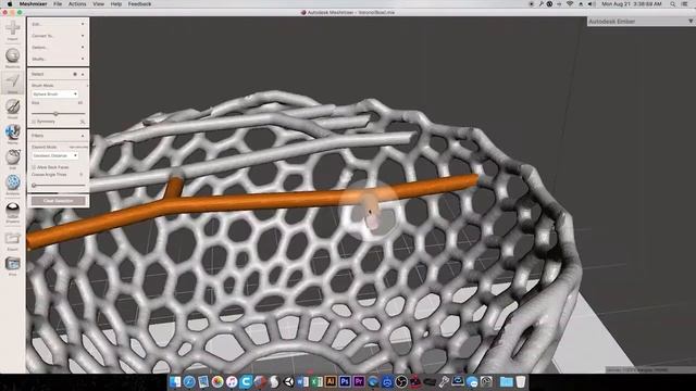 Creation Of A Voronoi Bowl