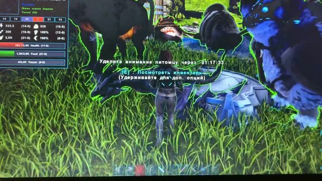 Вырастили грузовую веверну