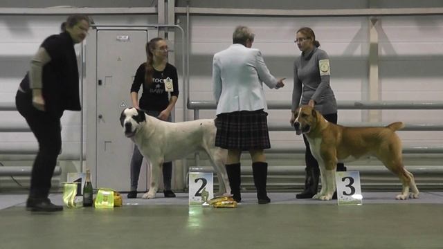 E45abb6bc599beb68fc0534088efde13