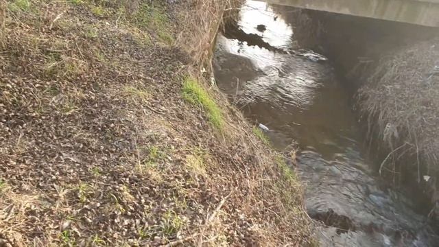 Test Bake Rols 7 Days