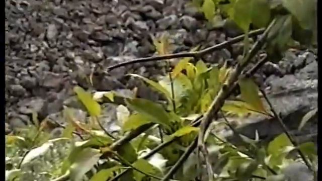 Саянские каникулы (2005) 3 серия