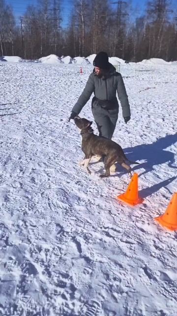 A6d74cbe9ce8d496d3da43846e5a06ef