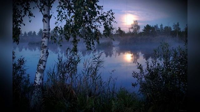 5c7a5dd336516cdd6c313de12edab94e