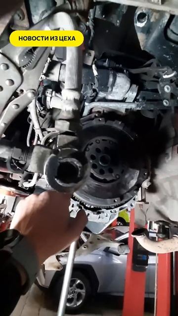 Компания Кореана