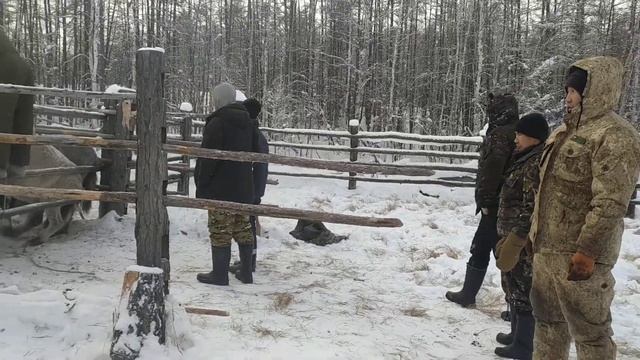 убаьа 2020