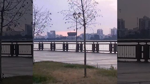 A54dde36adebea55f9f75870febdfe58