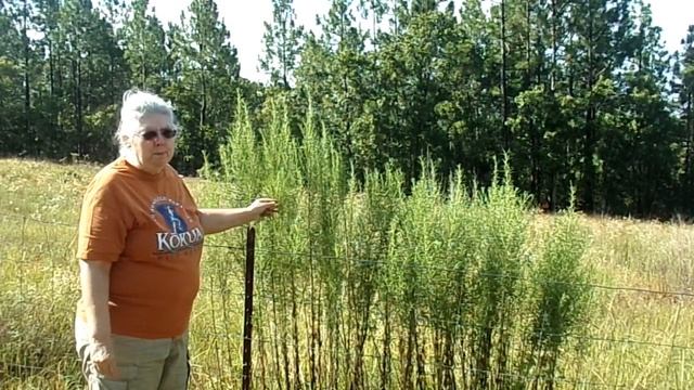 Fe6510967b0813192daa6e04406b2913