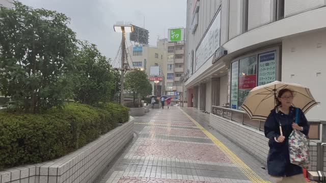 То что интересно