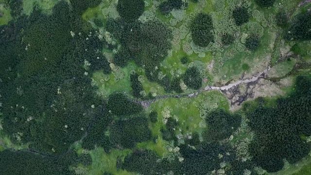 Чорногора Карпати липень 2019 року