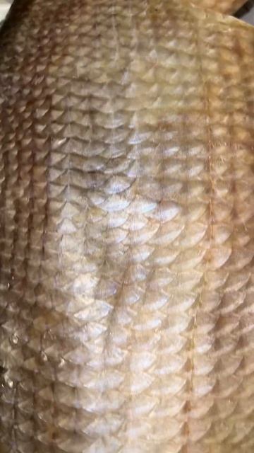 14100c60422acbdcc0df2dbb7ba76b3f