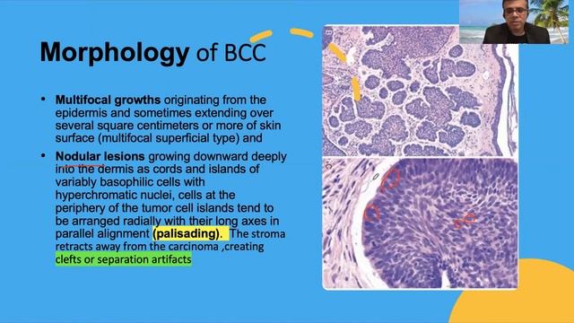 07bda251e0791ab701f168b6f02a71b7