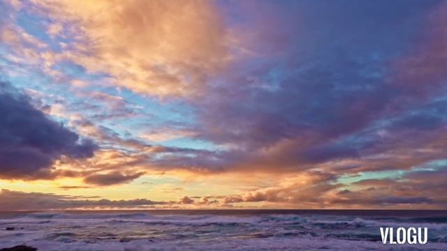 Обзор влогов. Вредина Лайф.