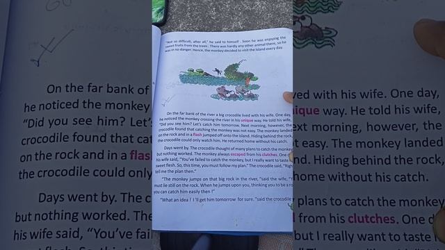 Class 5 Lesson 6 The Clever Monkey #line By Line Translation#