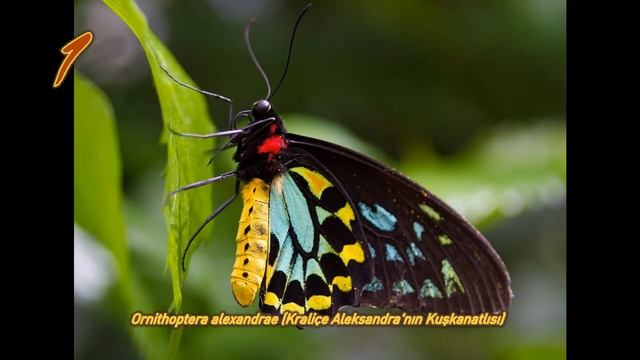 9c7fad2ba513b0deb74e84aaf2f2b8c9