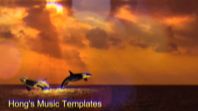 Filmora Effects (Bokeh Blur 5 + Shake(Up-Down2)) 필모라 영상효과 THYKIER - Shimmer (NCS)