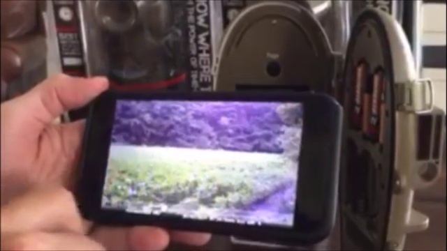 66a9a90d248f801363940c54692a1b64