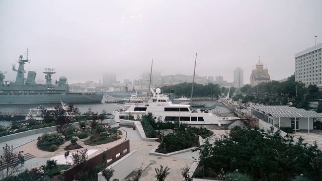 Алтай Кодекс Владивосток