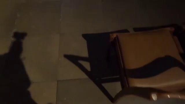 Notre Dame Cathedral Luxembourg