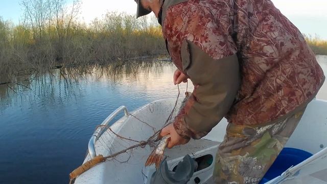 1665714370be689871a1bc758bcc66b9