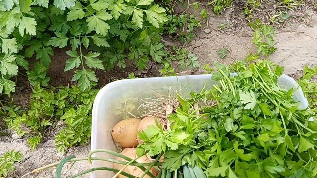 Marinade That Makes Chicken Legs Bomb . маринад который делает куриные ножки бомбическими .