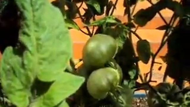 C0a1924ec6230c5d9063d743d7c59f41