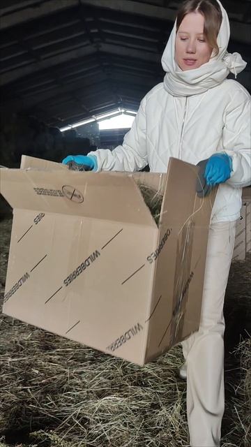 Сено для морских свинок и кроликов