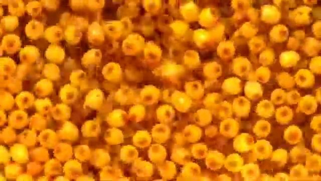 Вкуснее нет новинок!