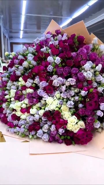 2c0e0f64900c0574835216b00f481322