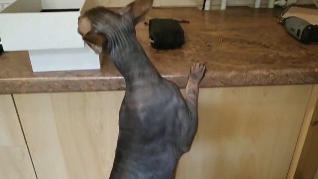 2672027a3a5935cd4d9d04b7d5a5b008