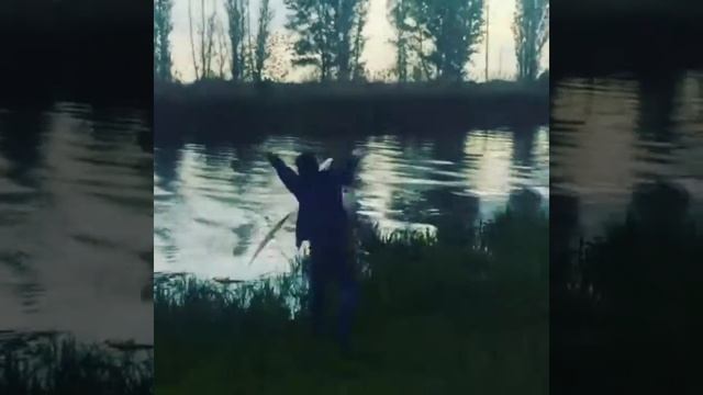 B997b1a3701d04f0df08444273aa18b5