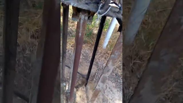 Заброшенная АЗС!!!