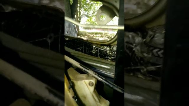 Огородные удовольствия