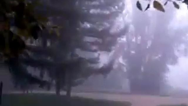 Веселая погода, такая веселая