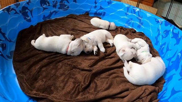 9d33fbe89020f6d8285ed8cc9462e9a2