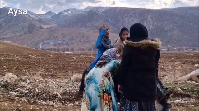 Exciting Competition_ The Challenge Of The Four -person Ass