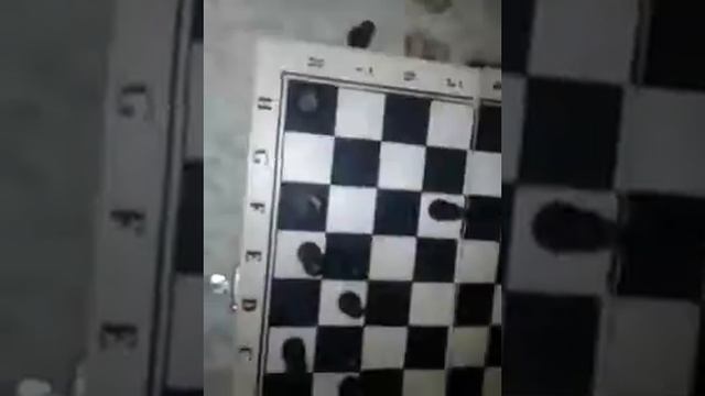 как играть шахматы